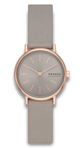 SKW3060 Skagen Signatur Lille SKW3060