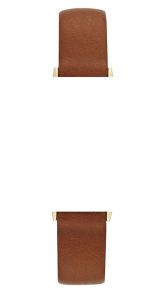 589812 Leather Brown Strap Skagen Anita SKW2150 589812