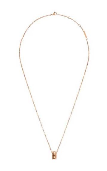 Daniel Wellington Necklace Elevation RG DW00400194