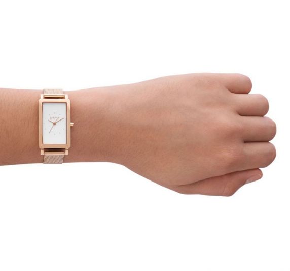 Skagen Hagen Lille SKW3095